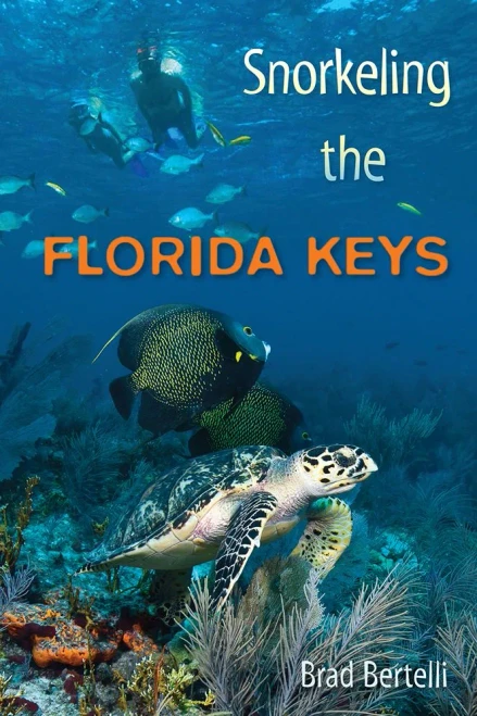 Snorkeling The Florida Keys
