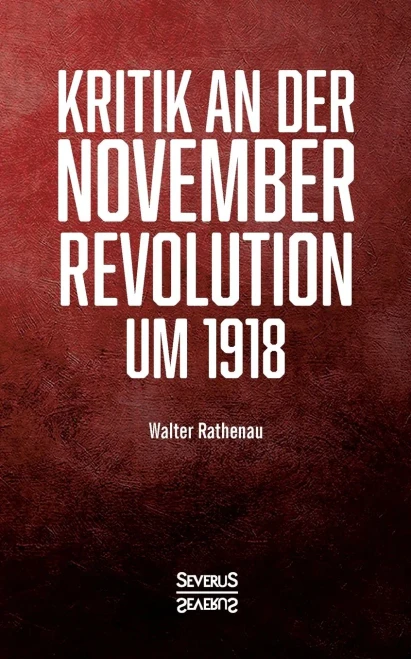 Kritik An Der Novemberrevolution Um 1918: Persã¶Nliche Einblicke Aus Politischer Und Gesellschaftlicher Sicht (German Edition)