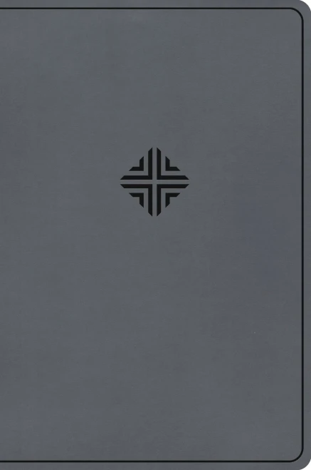 CSB Large Print Thinline Bible, Value Edition, Charcoal Leathertouch
