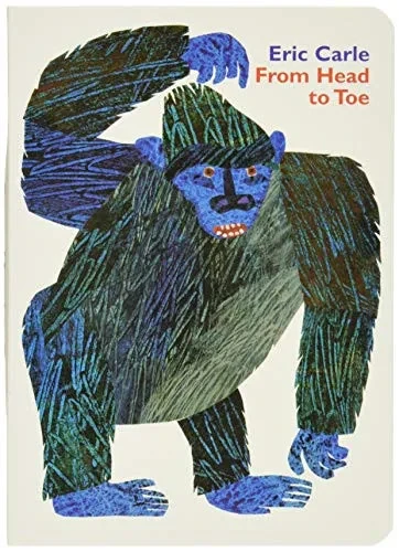 From Head To Toe Board Book