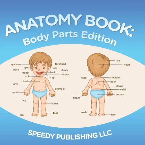Anatomy Book: Body Parts Edition