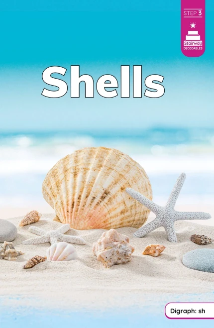 Shells - 9798875227059