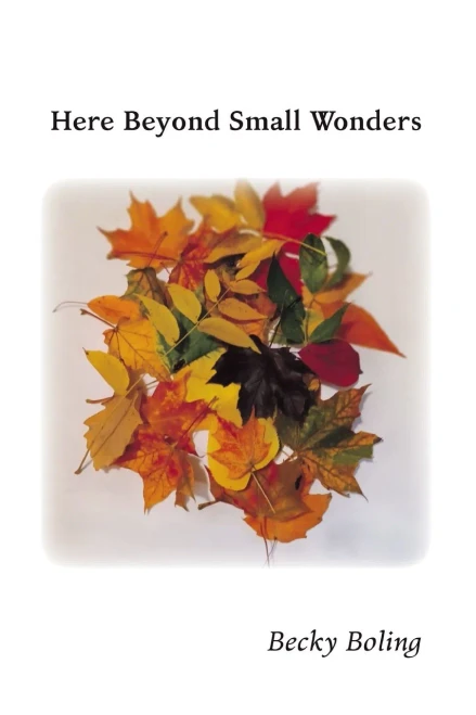 Here Beyond Small Wonders