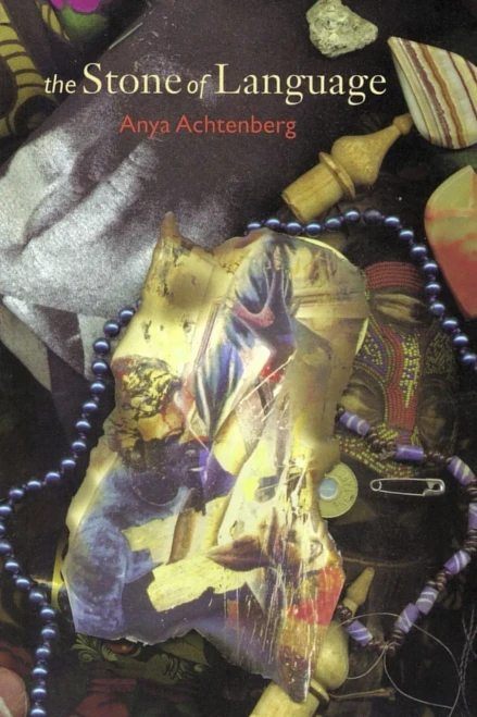 The Stone of Language: Poems - (Paperback or Softback)