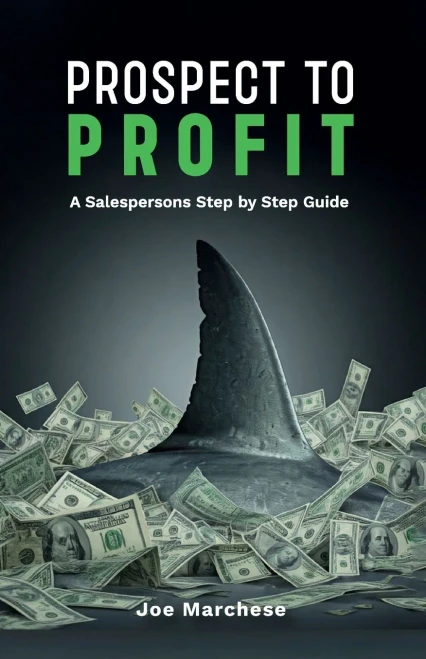 Prospect to Profit, A salespersons step by step guide - (Paperback or Softback)