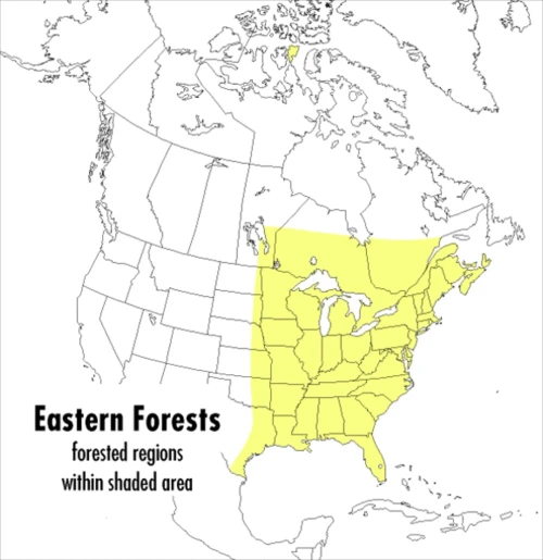 A Peterson Field Guide To Eastern Forests: North America (Peterson Field Guides)