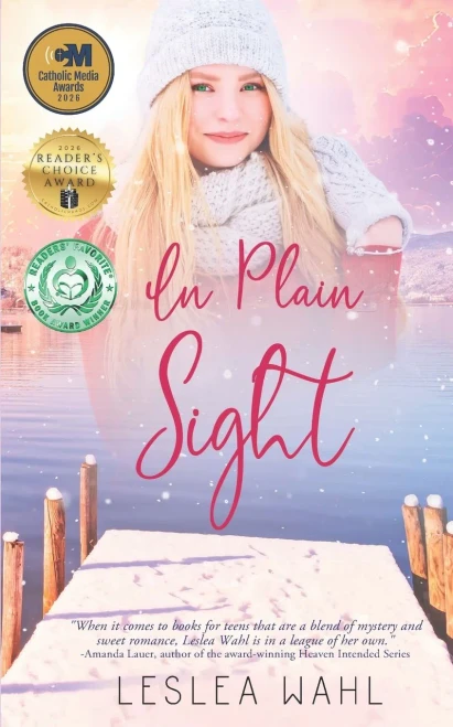 In Plain Sight - 9798986903743