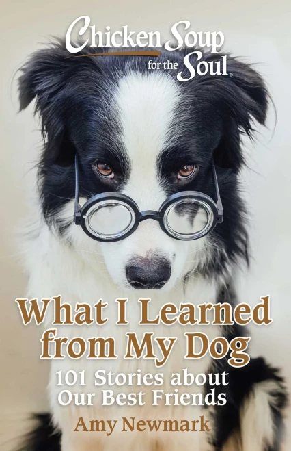 Chicken Soup for the Soul: What I Learned from My Dog: 101 Stories about Our Best Friends