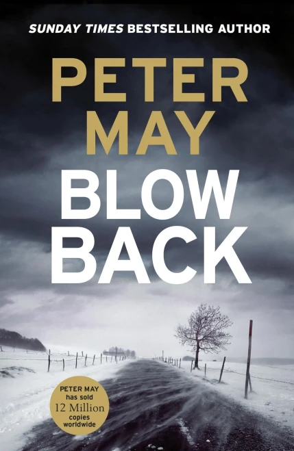 Blowback: The Exciting Penultimate Case in the Addictive Crime Series (the Enzo Files Book 5)