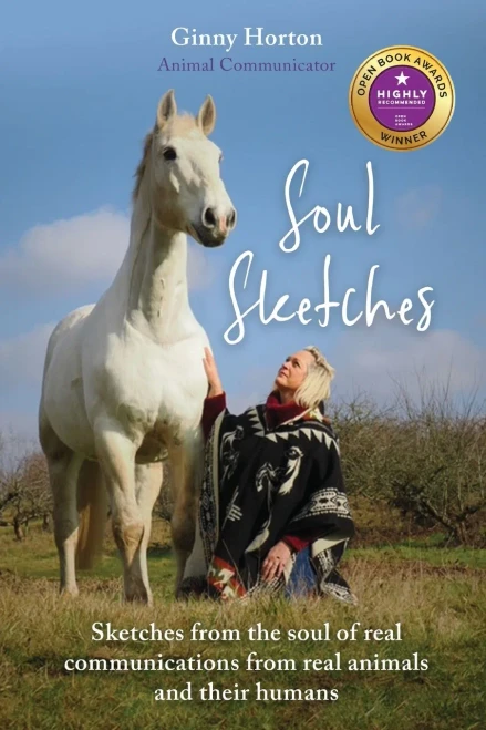 Soul Sketches: Sketches from the soul of real communications from real animals and their humans