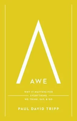 Awe: Why It Matters for Everything We Think, Say, and Do (with Study Questions)