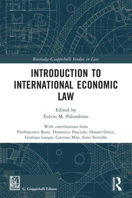 Introduction to International Economic Law - (Paperback or Softback)