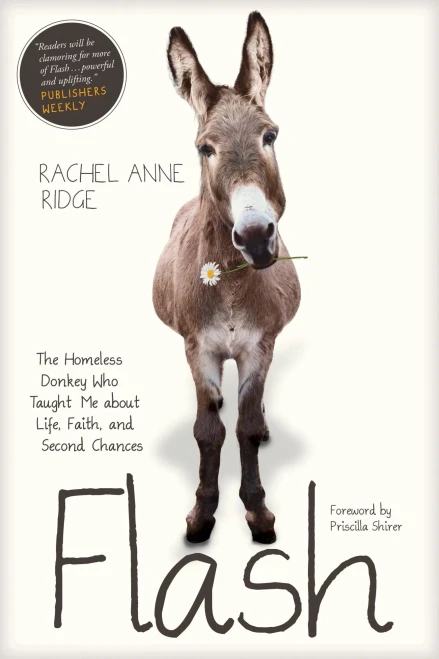Flash: The Homeless Donkey Who Taught Me About Life, Faith, And Second Chances (Flash The Donkey)