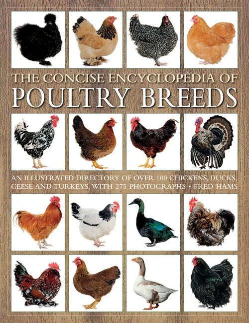 The Concise Encyclopedia Of Poultry Breeds: An Illustrated Directory Of Over 100 Chickens, Ducks, Geese And Turkeys, With 275 Photographs