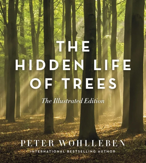 The Hidden Life Of Trees: The Illustrated Edition