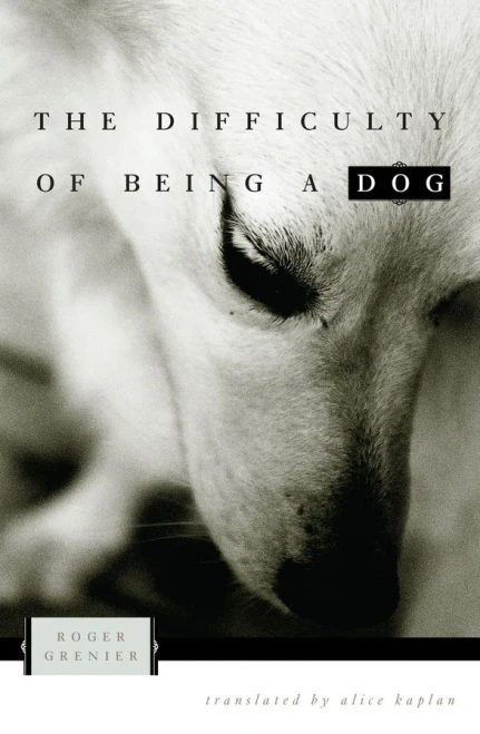 The Difficulty of Being a Dog