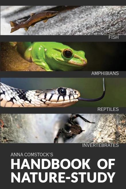 The Handbook Of Nature Study In Color - Fish, Reptiles, Amphibians, Invertebrates