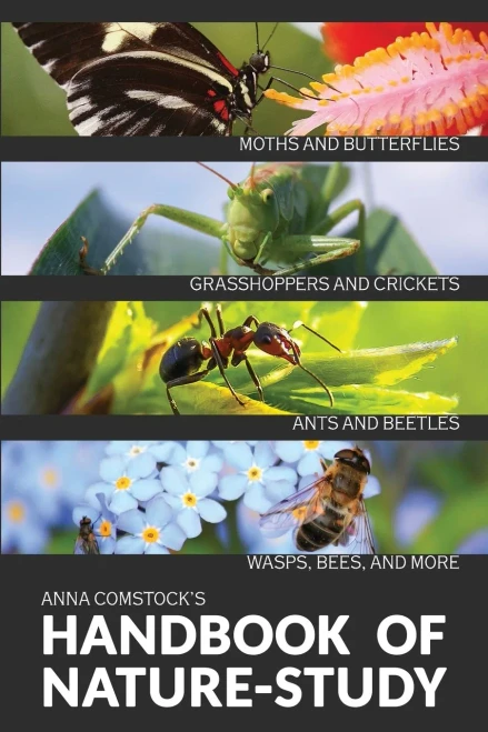 The Handbook Of Nature Study In Color - Insects