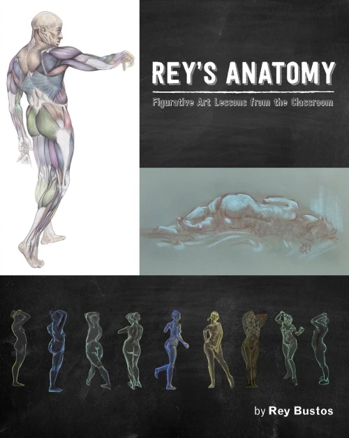 Rey's Anatomy: Figurative Art Lessons from the Classroom (Hardback)