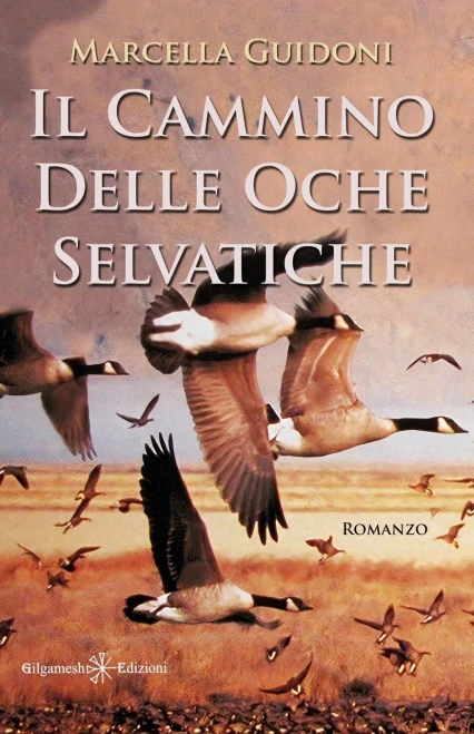 Il Cammino Delle Oche Selvatiche: Cammino Di Santiago (Anunnaki - Narrativa) (Italian Edition)