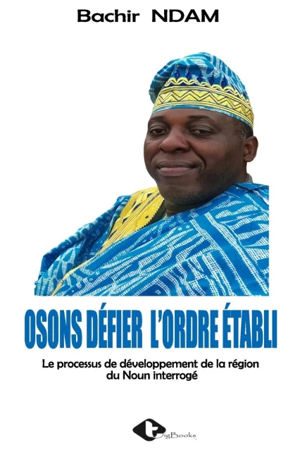 Osons DÃ©fier l'Ordre Ã?tabli: Le processus de dÃ©veloppement de la rÃ©gion du Noun interrogÃ©