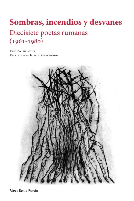 Sombras, Incendios Y Desvanes (Spanish Edition)