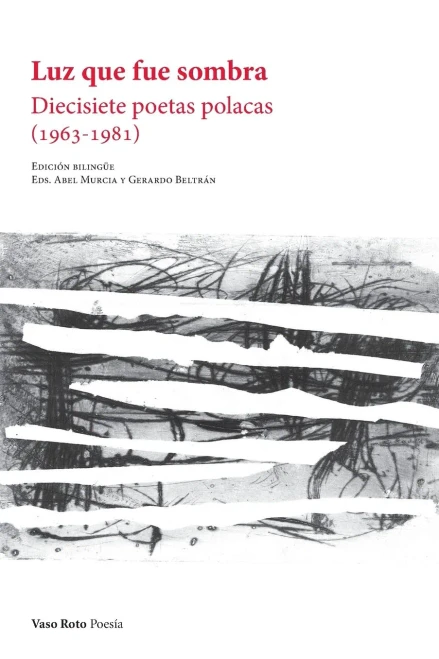 Luz Que Fue Sombra (Spanish Edition)