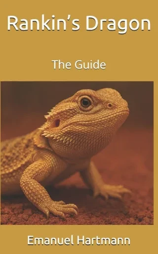 Rankin's Dragon: The Guide