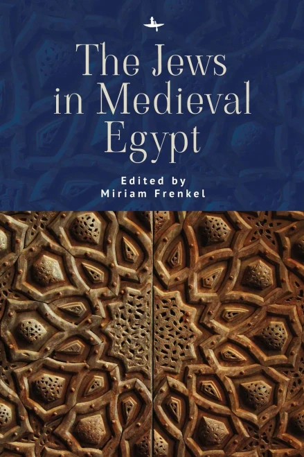 The Jews In Medieval Egypt (The Lands And Ages Of The Jewish People) - Hardcover