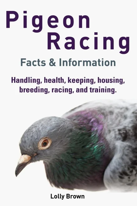 Pigeon Racing: Handling, Health, Keeping, Housing, Breeding, Racing, And Training. Facts & Information