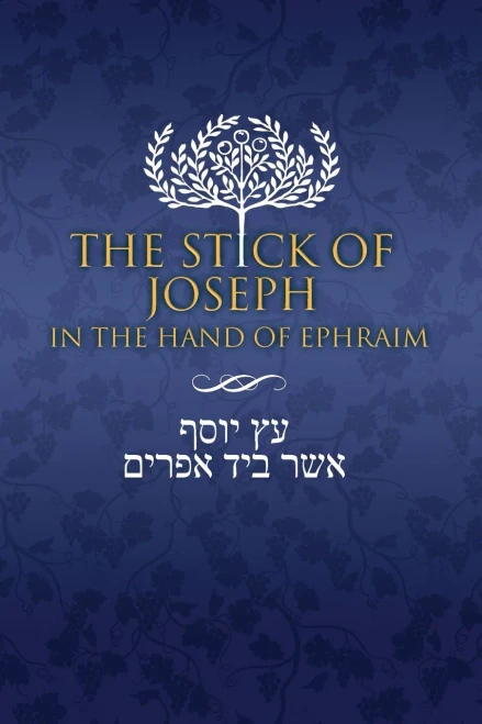 The Stick Of Joseph In The Hand Of Ephraim - Paperback