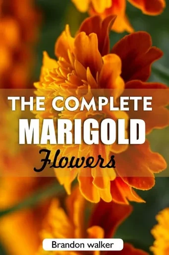 The complete Marigold flowers: The Ultimate Beginner's Guide to Growing, Caring for, and Harvesting Stunning marigold at Home and garden