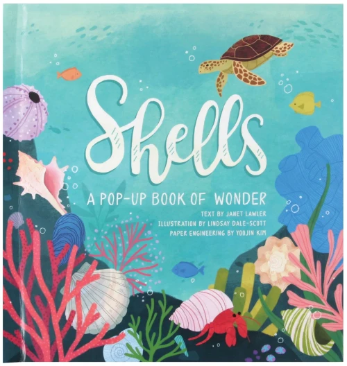 Shells: A Pop-Up Book Of Wonder (4 Seasons Of Pop-Up)