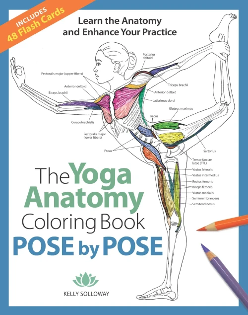 Pose By Pose: Learn The Anatomy And Enhance Your Practice (Volume 2) (The Yoga Anatomy Coloring Book)