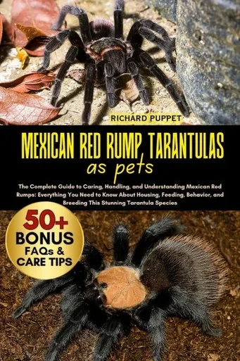 Mexican Red Rump Tarantulas as Pets: The Complete Guide to Caring, Handling, and Understanding Mexican Red Rumps: Everything You Need to Know About Ho
