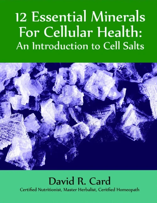 12 Essential Minerals For Cellular Health: An Introduction To Cell Salts