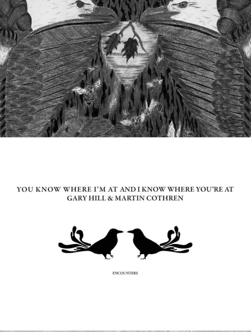 Gary Hill & Martin Cothren: You Know Where I'M At And I Know Where You’Re At (Encounters)