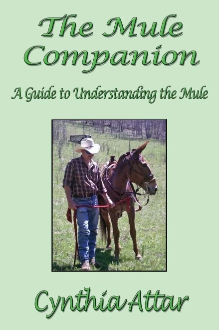 The Mule Companion: A Guide To Understanding The Mule