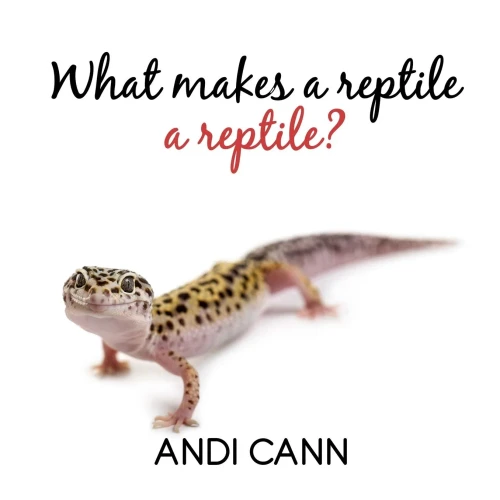 What Makes A Reptile A Reptile (Animal Classes)