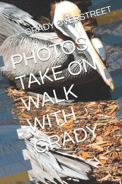 Photos Take on Walk with Grady