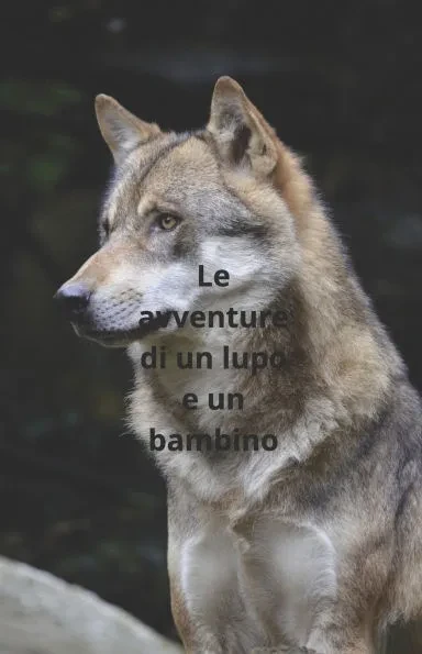 Il lupo e un bambino: avventure