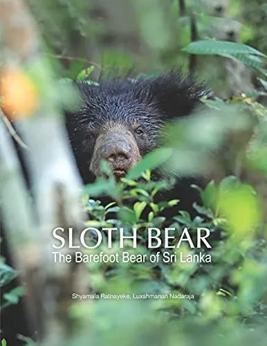 Sloth Bear: The Barefoot Bear Of Sri Lanka