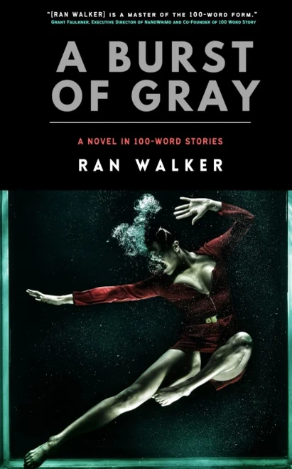 A Burst Of Gray: A Novel In 100-Word Stories