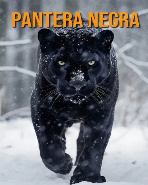 Pantera negra: Datos e imágenes increíbles de los Pantera negra
