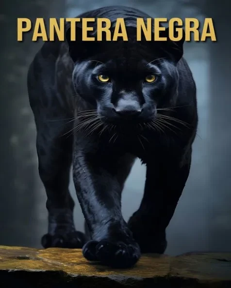 Pantera negra: Datos Divertidos e Interesantes e Imágenes Sobre Pantera negra