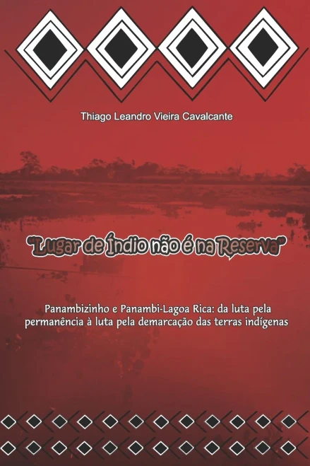?ç£Lugar De ?¡Ndio N?Úo ?? Na Reserva?ç¥: Panambizinho E Panambi-Lagoa Rica: Da Luta Pela Perman?¬Ncia ?Á Luta Pela Demarca?º?Úo Das Terras Ind?¡Genas (Portuguese Edition)
