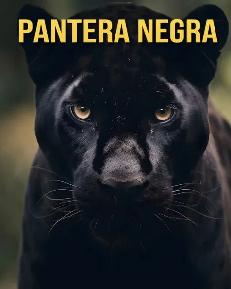 Pantera Negra: Curiosidades Divertidas e Imagens Surpreendentes Sobre a Pantera Negra
