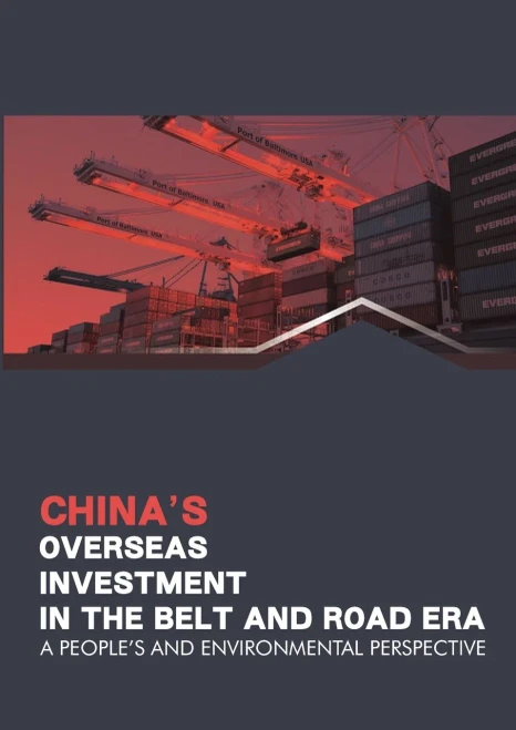 China'S Overseas Investments