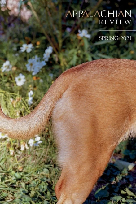 Appalachian Review - Spring 2021: Volume 49, Issue 2