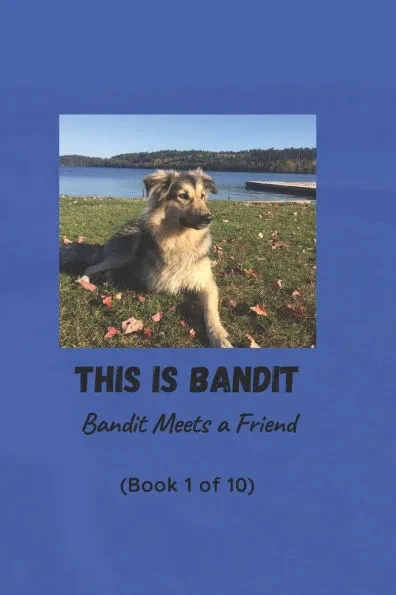 This is Bandit: Book 1: Bandit Meets a Friend